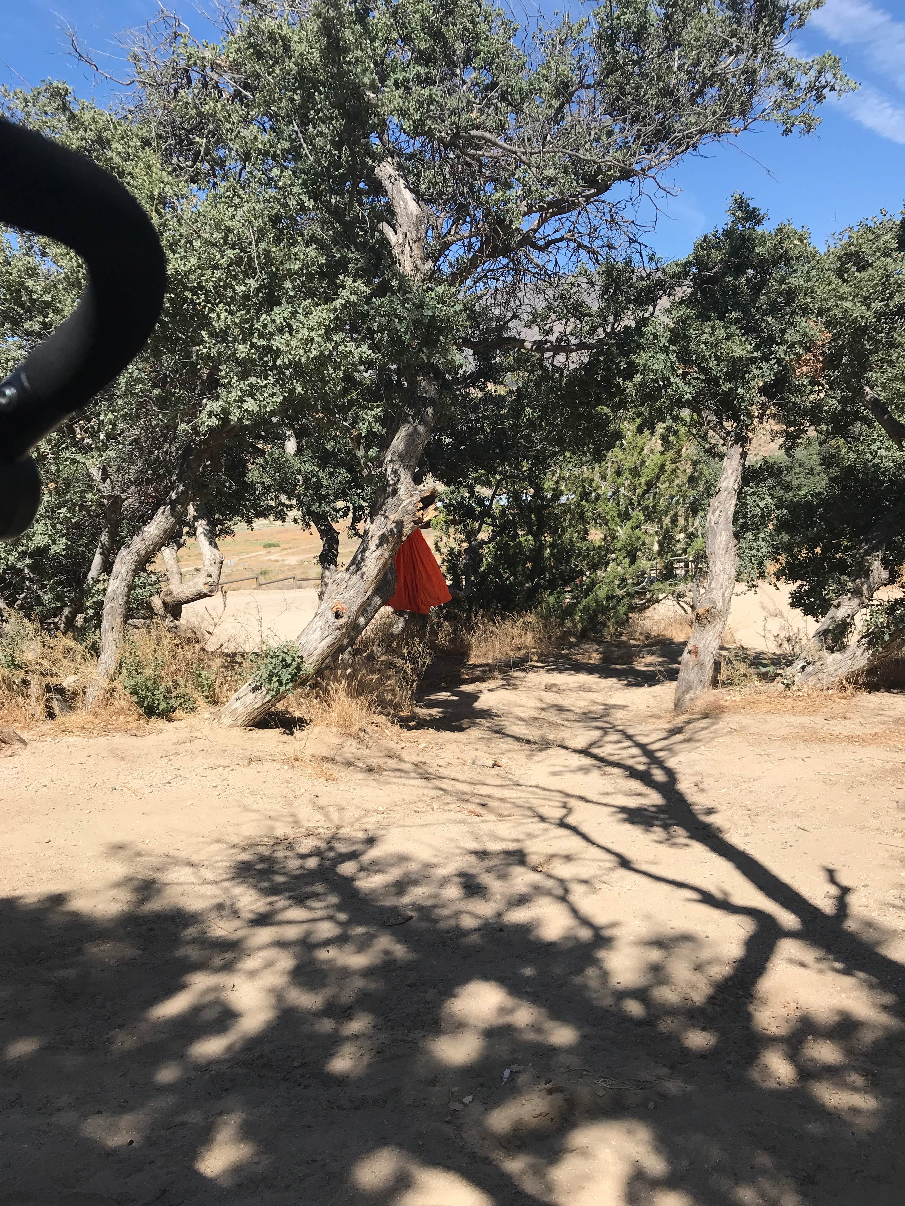 Camper submitted image from Hungry Valley State Vehicle Recreation Area - 4