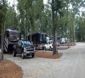 Camper-submitted photo from CarrollWoods RV Park at Grapefull Sisters Vineyard