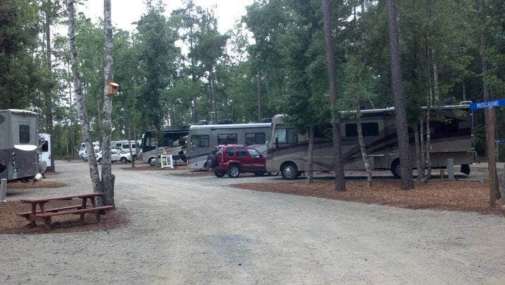 Camper-submitted photo at CarrollWoods RV Park at Grapefull Sisters Vineyard near Leland, NC