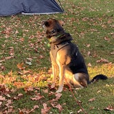 Review photo of Kentucky Horse Park Campground by Bethany W., October 5, 2020