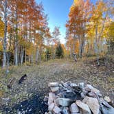 Review photo of Saddle Mountain (Kaibab NF) by Justin K., October 5, 2020