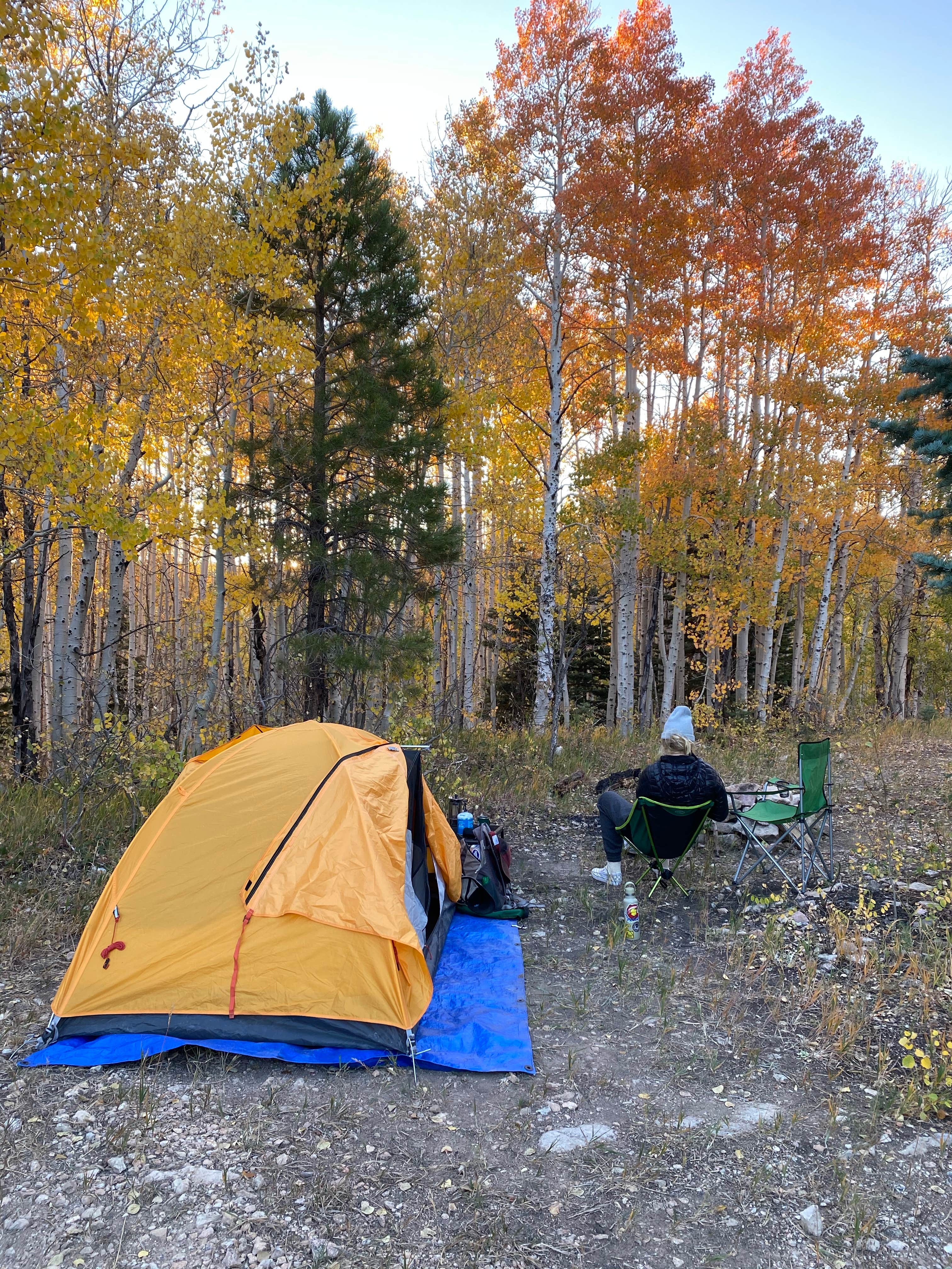 Justin K.'s photo of a dispersed camping area at Saddle Mountain (Kaibab NF) near Grand Canyon National Park