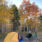 Review photo of Saddle Mountain (Kaibab NF) by Justin K., October 5, 2020