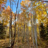 Review photo of Saddle Mountain (Kaibab NF) by Justin K., October 5, 2020