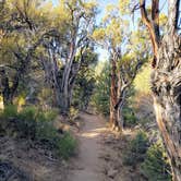 Review photo of Elk Flat Campground — Cave Lake State Park by connie C., October 5, 2020