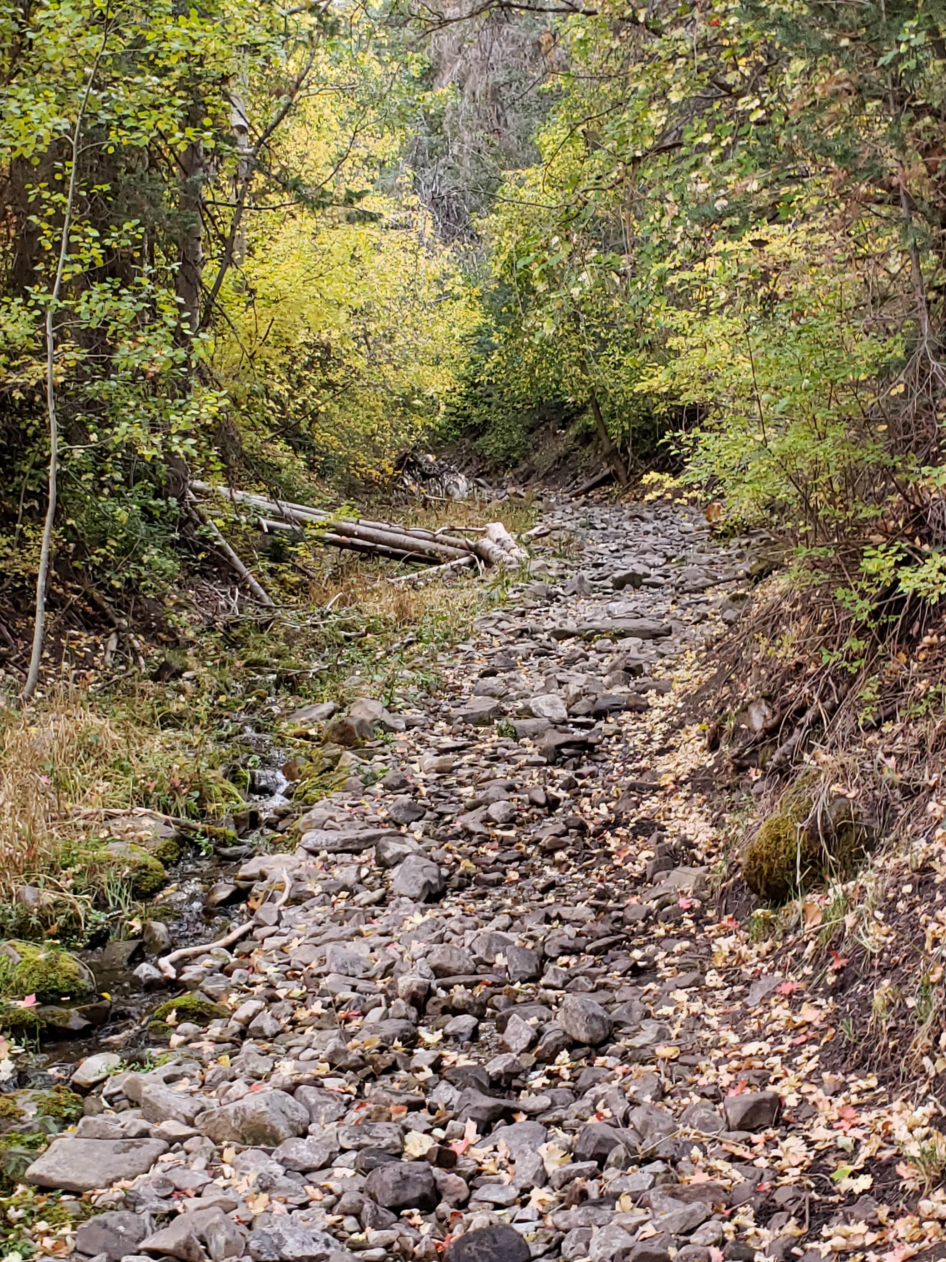 Camper-submitted photo at Uinta National Forest Whiting Campground near Mapleton, UT