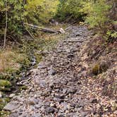 Review photo of Uinta National Forest Whiting Campground by connie C., October 5, 2020