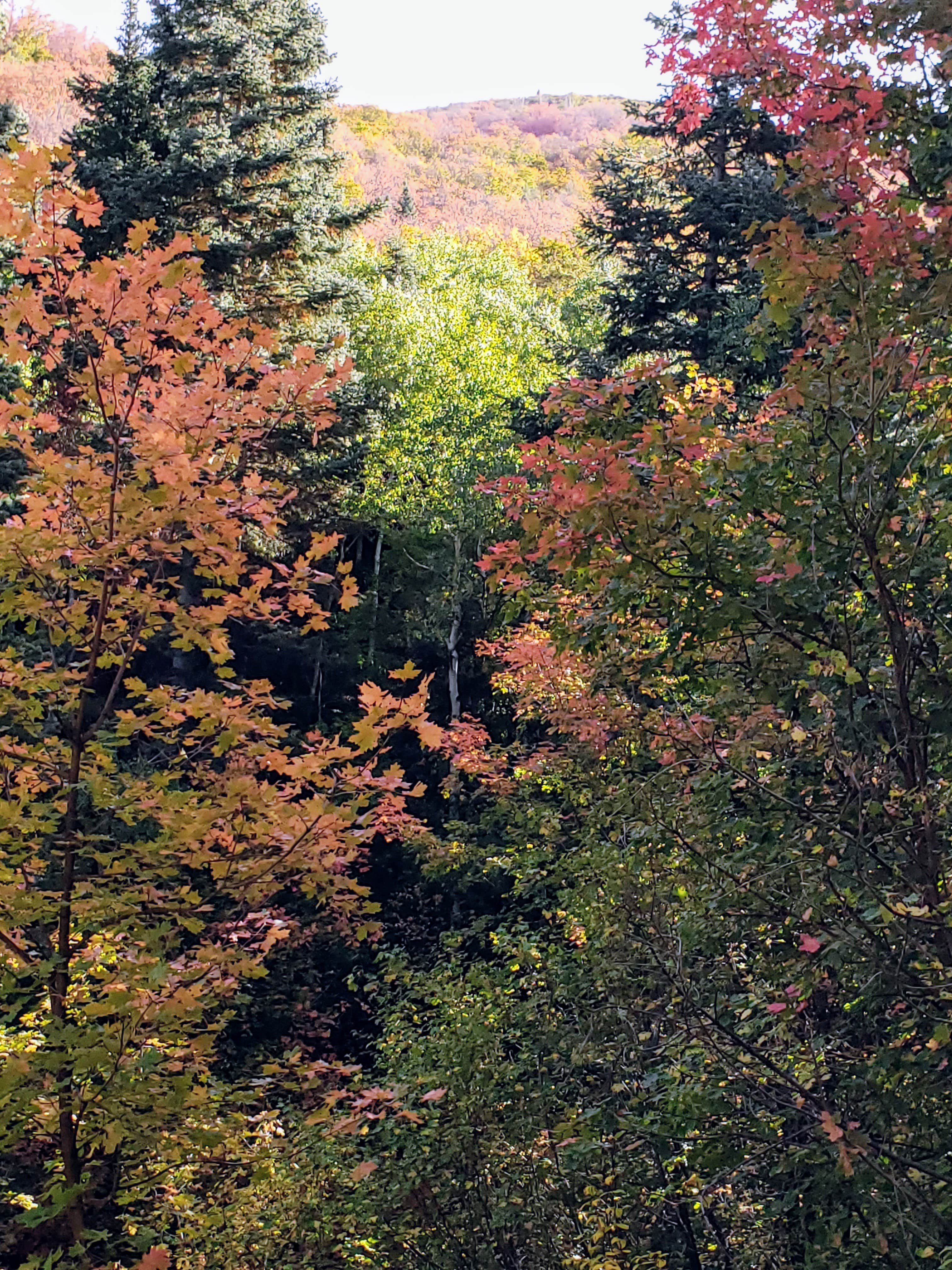 Camper-submitted photo at Uinta National Forest Whiting Campground near Mapleton, UT