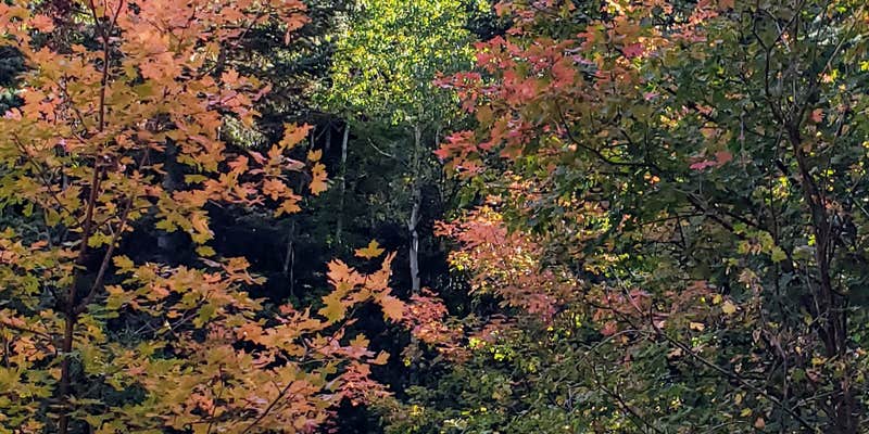 Camper submitted image from Uinta National Forest Whiting Campground