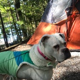 Review photo of Salthouse Branch Campground by Paula J., October 5, 2020