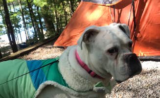 Paula J.'s photo at Salthouse Branch Campground near Mayodan, NC