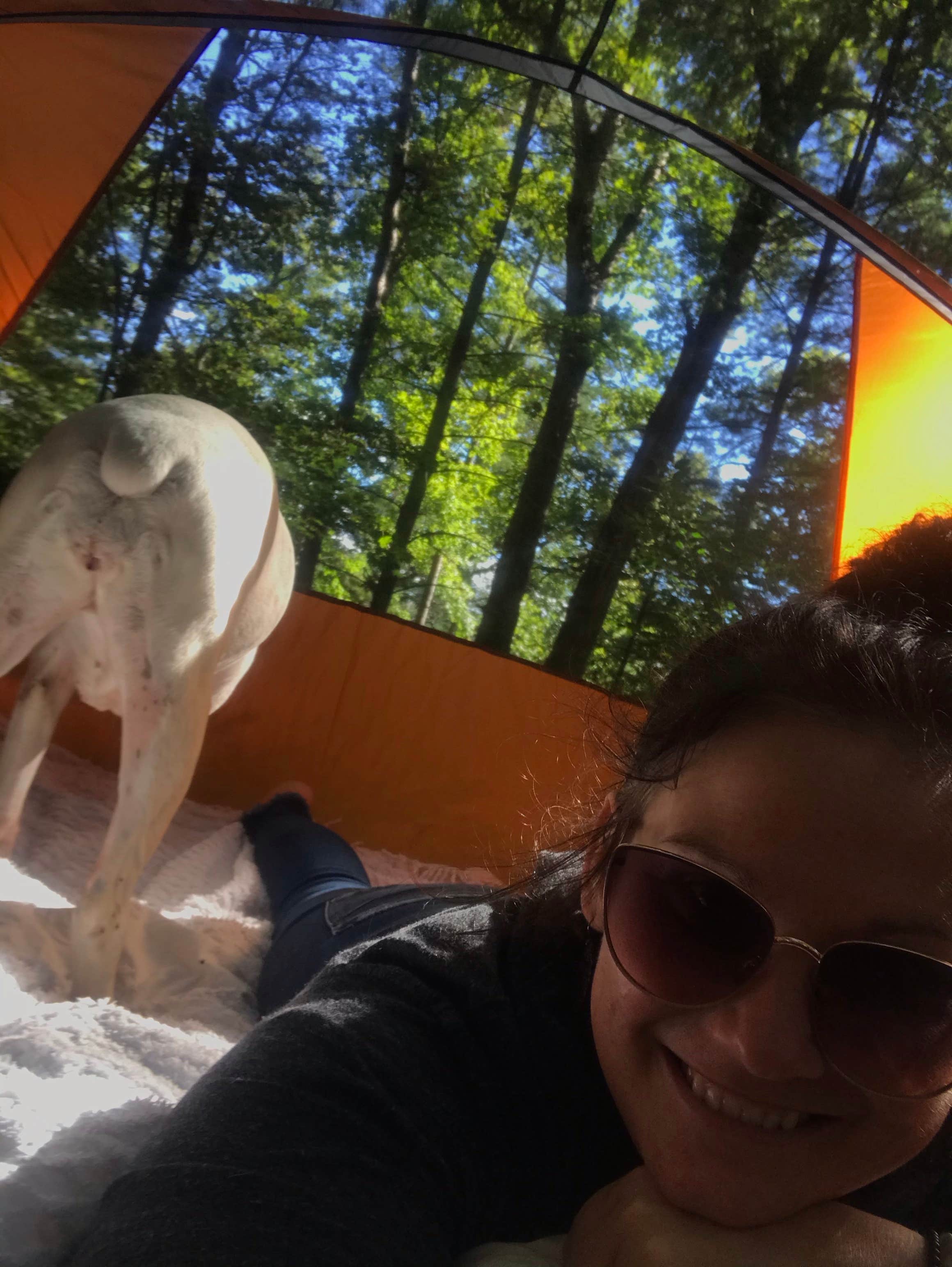 Camper-submitted photo at Salthouse Branch Campground near Eden, NC