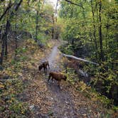 Review photo of Castle Rock Campground — Fremont Indian State Park by connie C., October 5, 2020