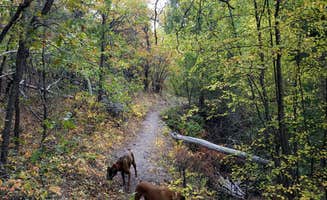 connie C.'s photo of camping with pets at Castle Rock Campground — Fremont Indian State Park near Cove, UT