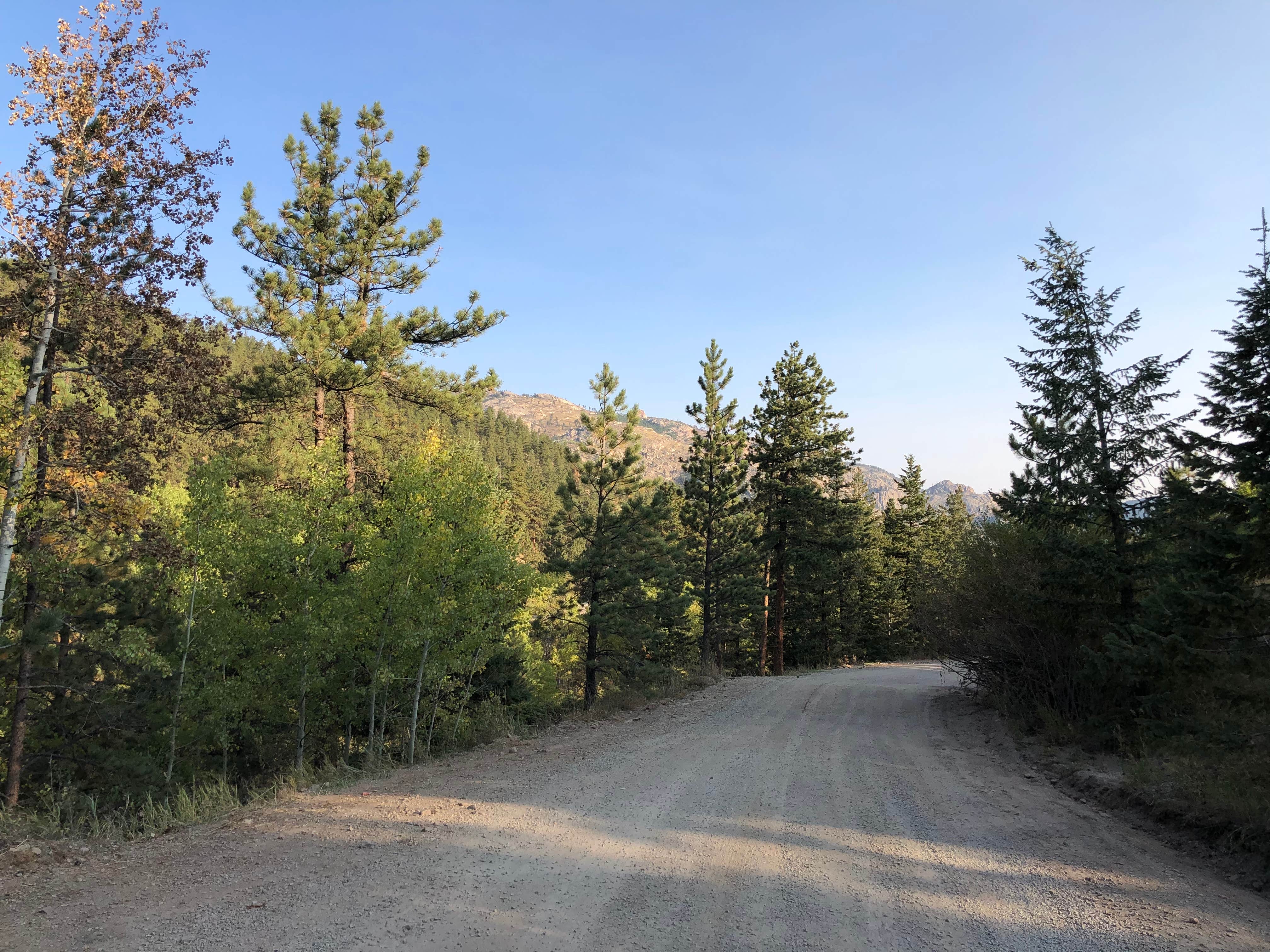 Camper-submitted photo at Cr 47 near Winter Park, CO