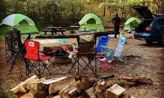 Camping near Tanglewood Escape: Dingmans Campground — Delaware Water Gap National Recreation Area, Dingmans Ferry, Pennsylvania