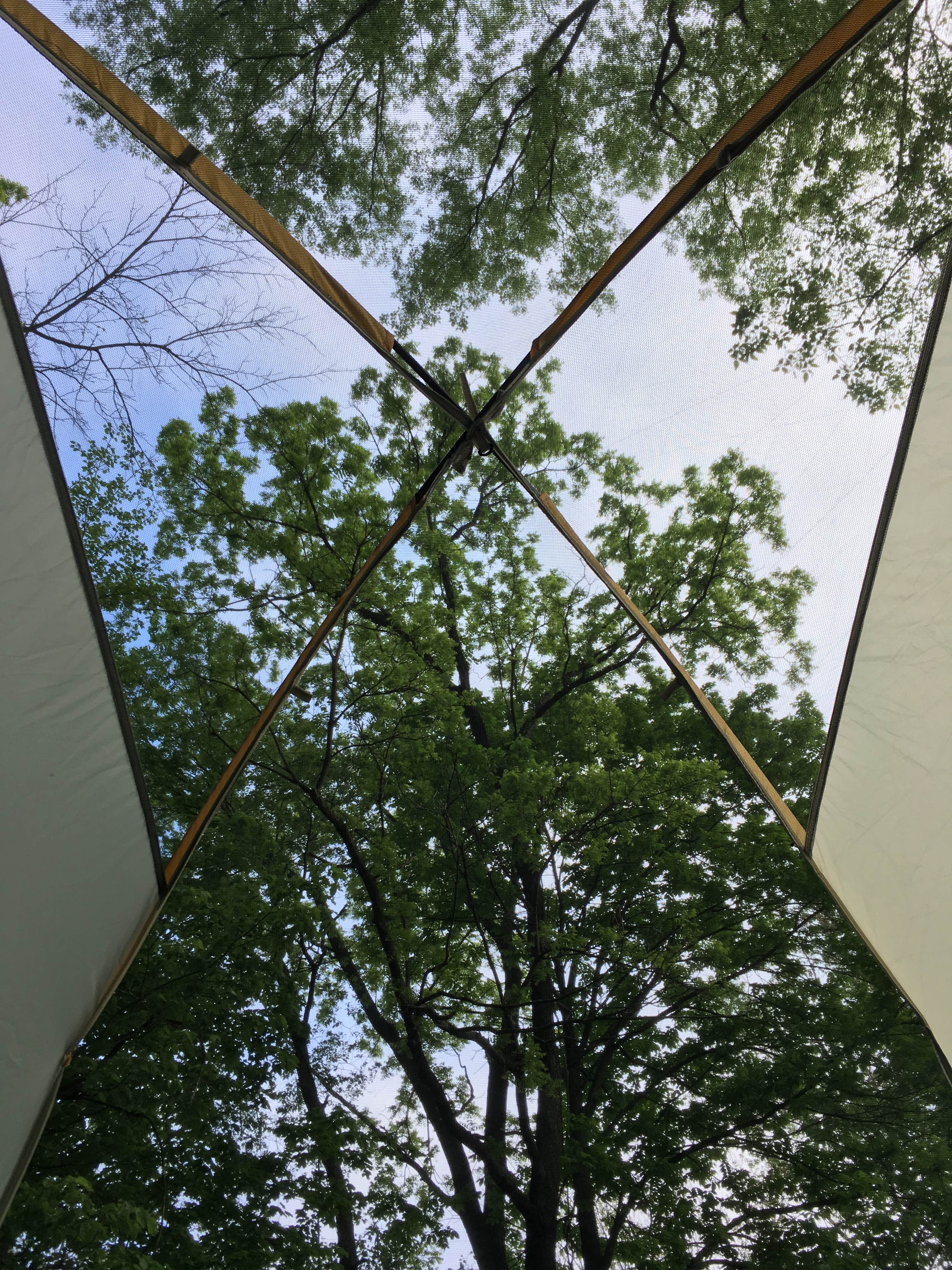 Morning view from tent