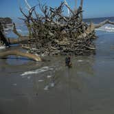 Review photo of Hunting Island State Park Campground by Shelly S., June 30, 2016