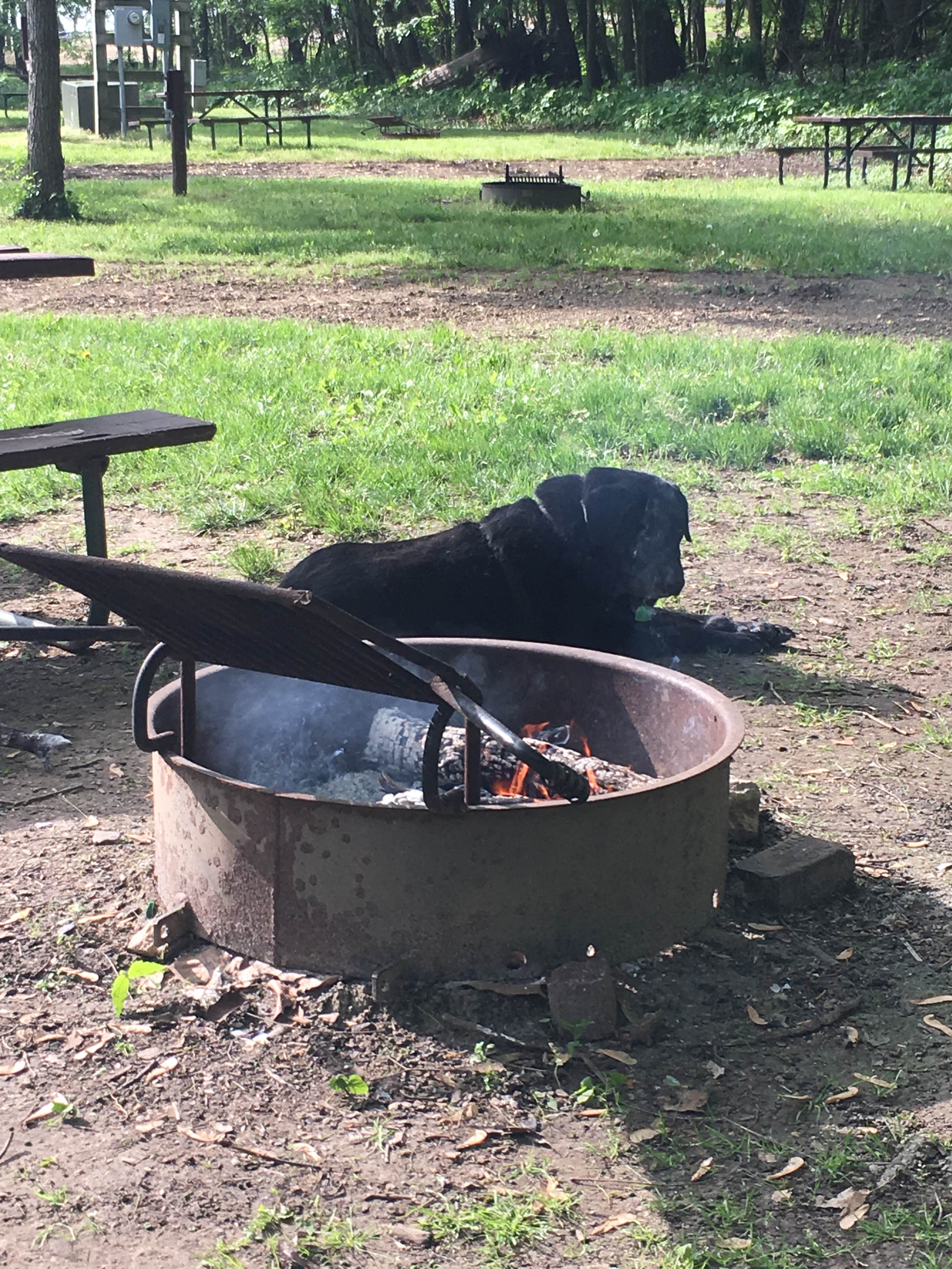 Camper-submitted photo at Snively Access near Wapello, IA