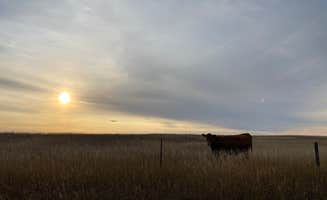 Lucas's photo of a dispersed camping area at Richland reservoir dispersed camping near Pierre, SD