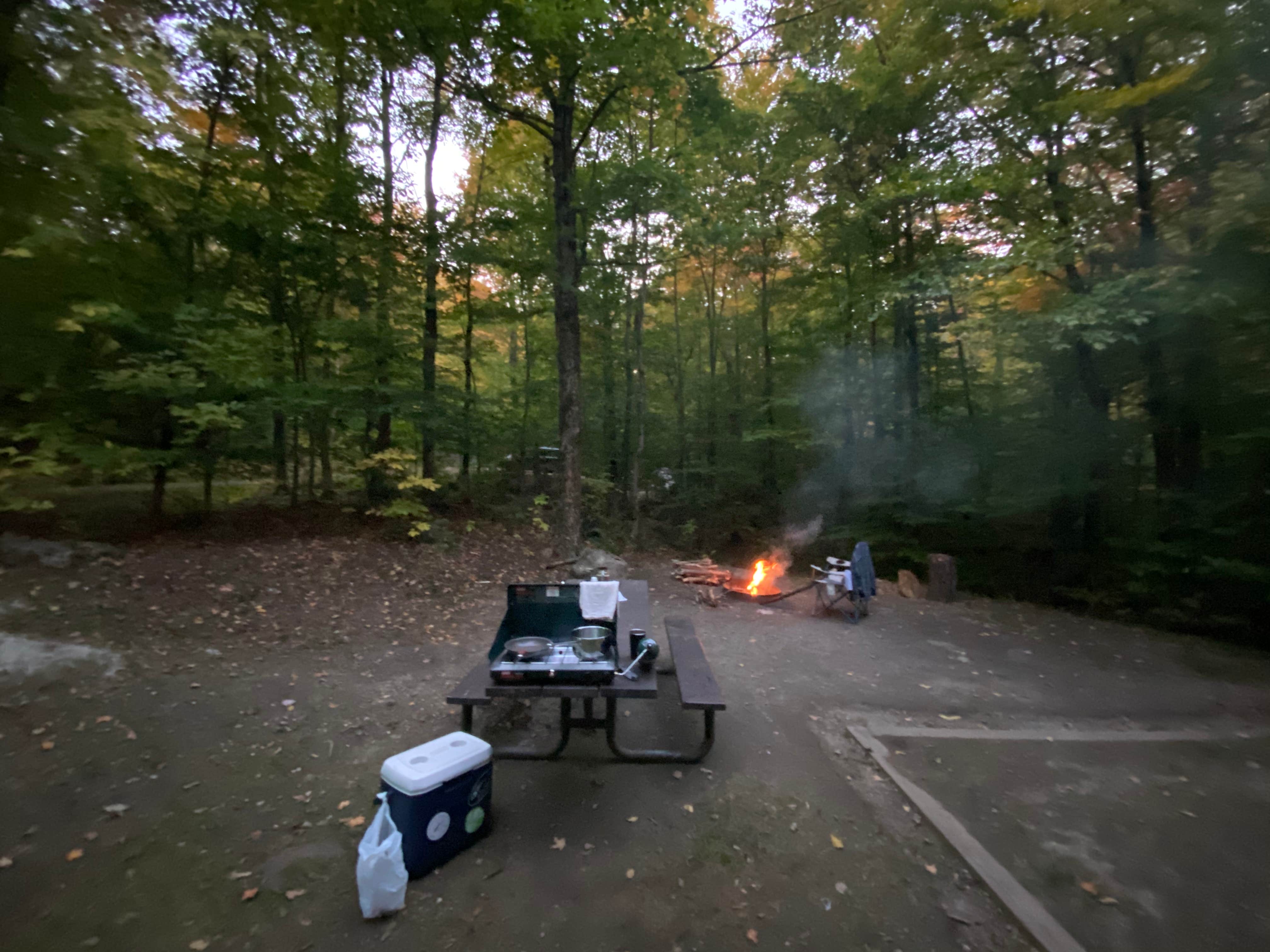 Lucas's photo at Chittenden Brook Campground near Salisbury, VT