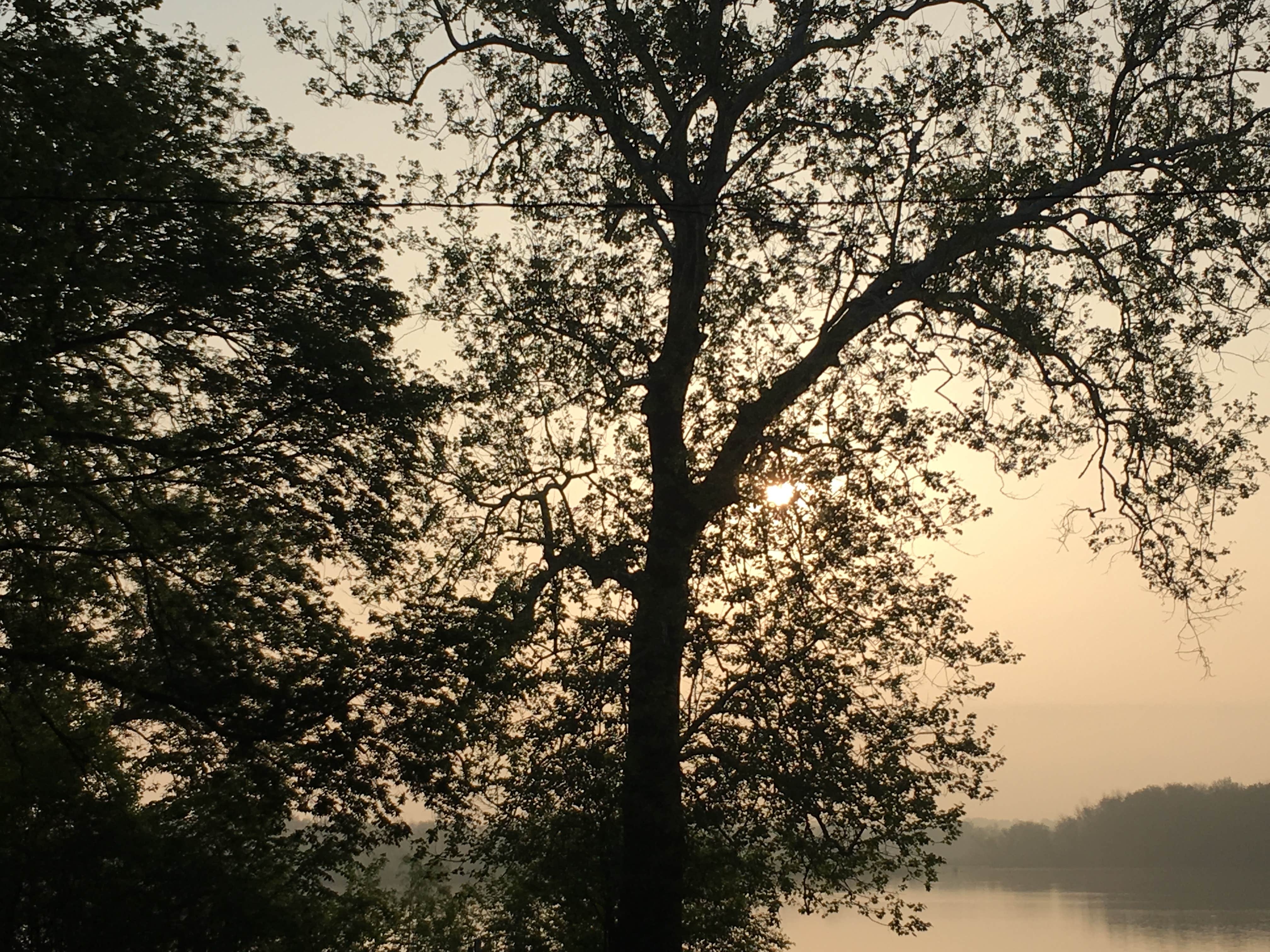 Camping near Virginia Grove Rec Area: Snively Access, Wapello, Iowa