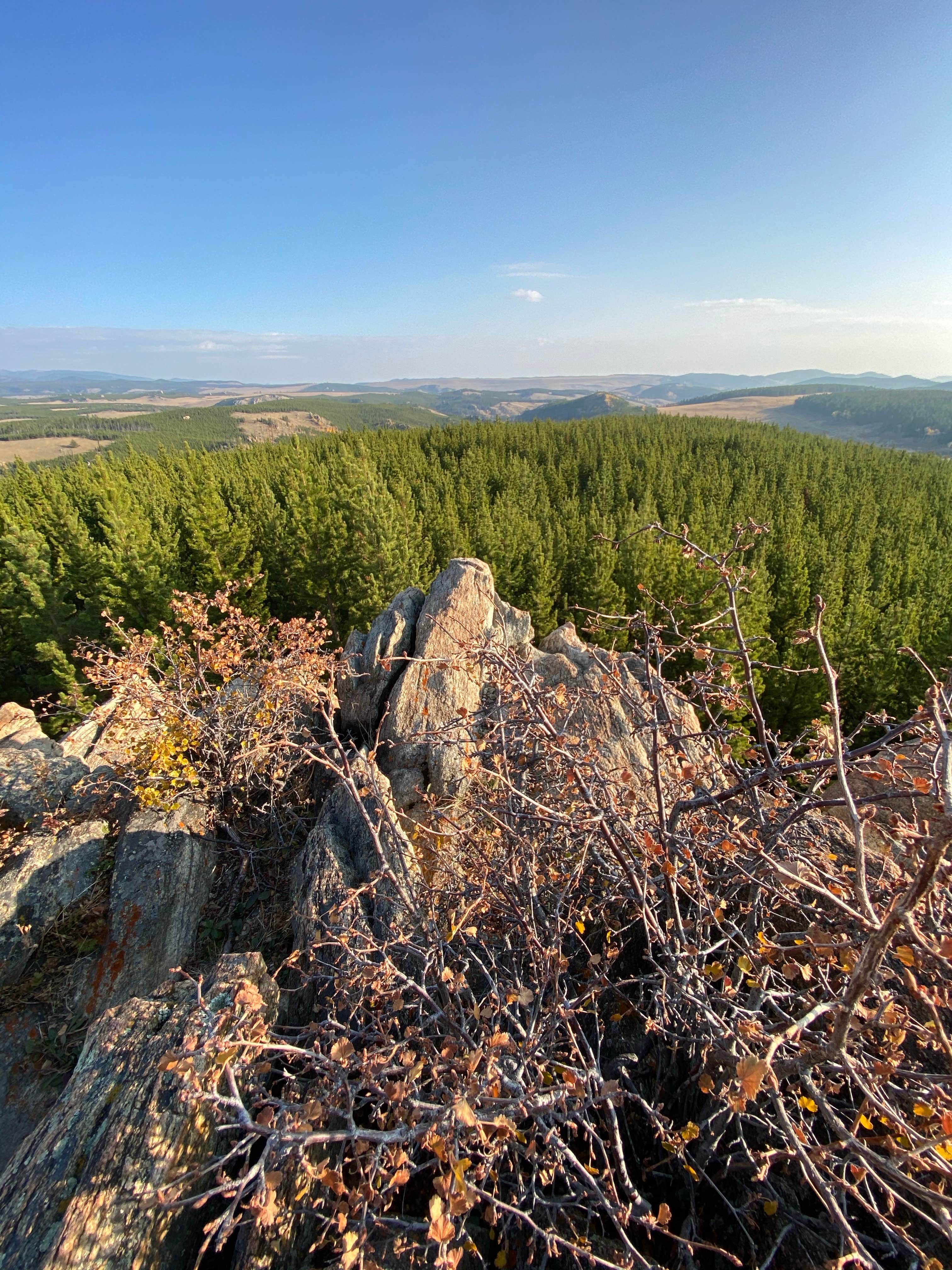 Camper-submitted photo at Circle Park Campground near Saddlestring, WY