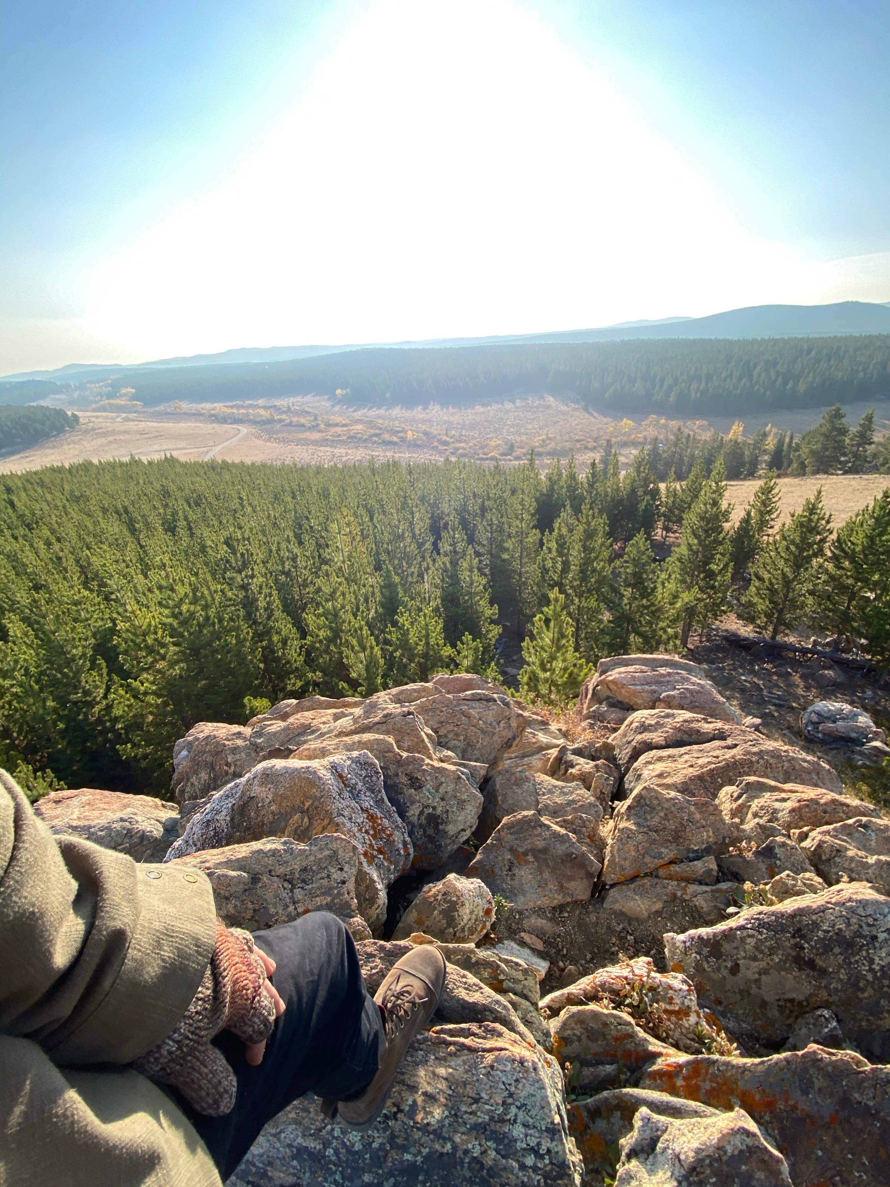 Camper-submitted photo at Circle Park Campground near Saddlestring, WY