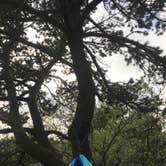 Review photo of Nehalem Bay State Park Campground by Kelsey W., May 19, 2018