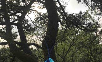 Kelsey W.'s photo at Nehalem Bay State Park Campground near Rockaway Beach, OR
