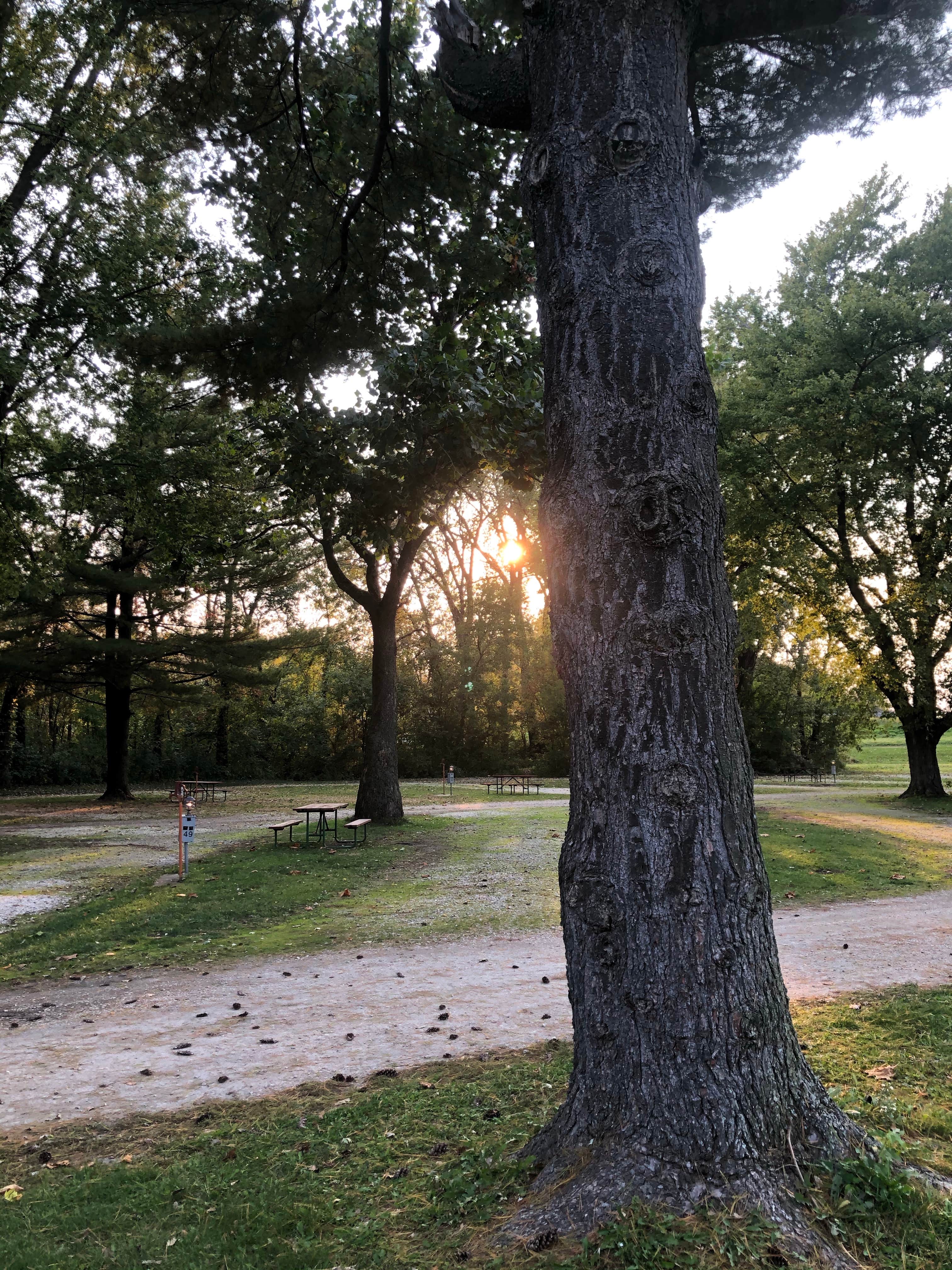 Camper submitted image from Geneseo Campground - 2