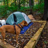 Review photo of Owens Creek Campground — Catoctin Mountain Park by Sean R., October 6, 2020