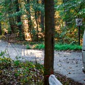 Review photo of Owens Creek Campground — Catoctin Mountain Park by Sean R., October 6, 2020