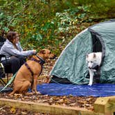 Review photo of Owens Creek Campground — Catoctin Mountain Park by Sean R., October 6, 2020