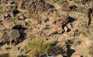 Kayla D.'s photo at Craggy Wash - Dispersed Camping Area near Mohave Valley, AZ