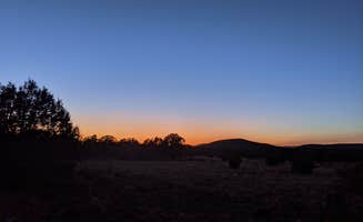Kayla D.'s photo of a dispersed camping area at Kaibab National Forest near Paulden, AZ