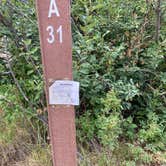 Review photo of East Portal Campground at Estes Park by Cyndi B., October 6, 2020