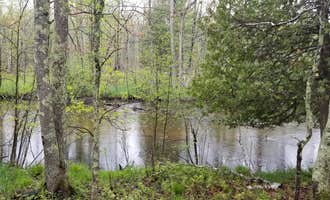 Camping near Silver Creek State Forest Campground: Old Grade Campground, Luther, Michigan