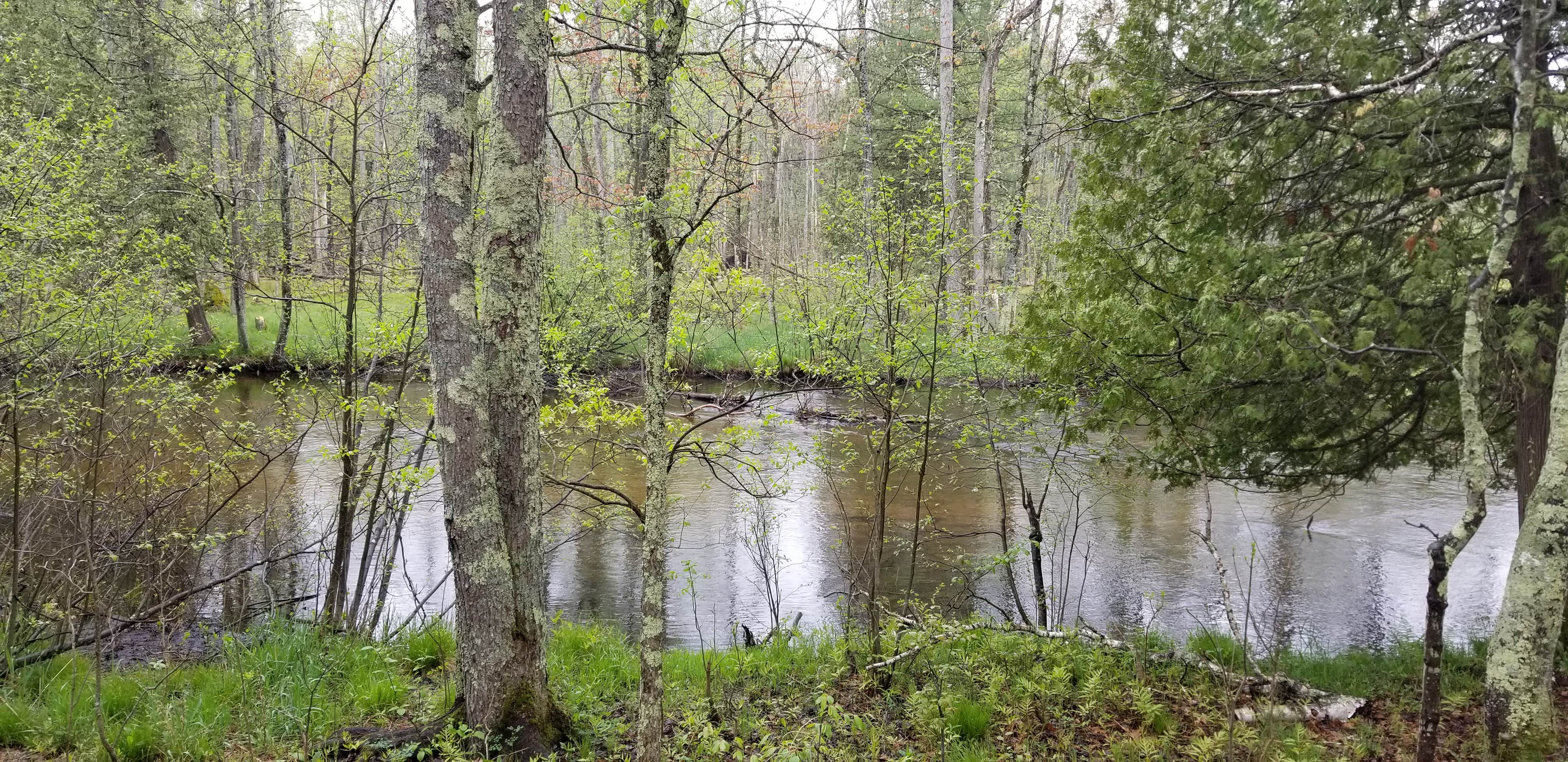 Escape To Nature’s Embrace: Your Guide To Michigan’s Old Grade Campground