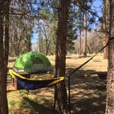 Review photo of San Gorgonio Campground by Cristen B., May 19, 2018