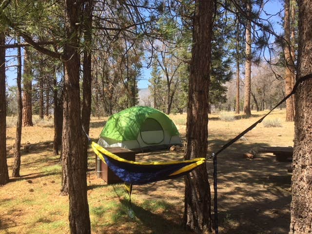 Camper submitted image from San Gorgonio Campground - 5