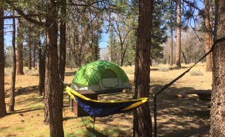 Cristen B.'s photo at San Gorgonio Campground near Forest Falls, CA