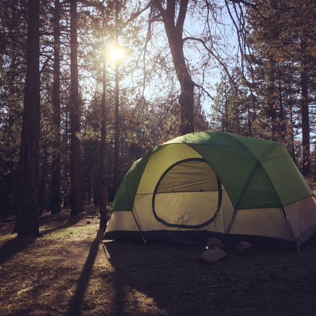 Cristen B.'s photo at San Gorgonio Campground near San Bernardino National Forest
