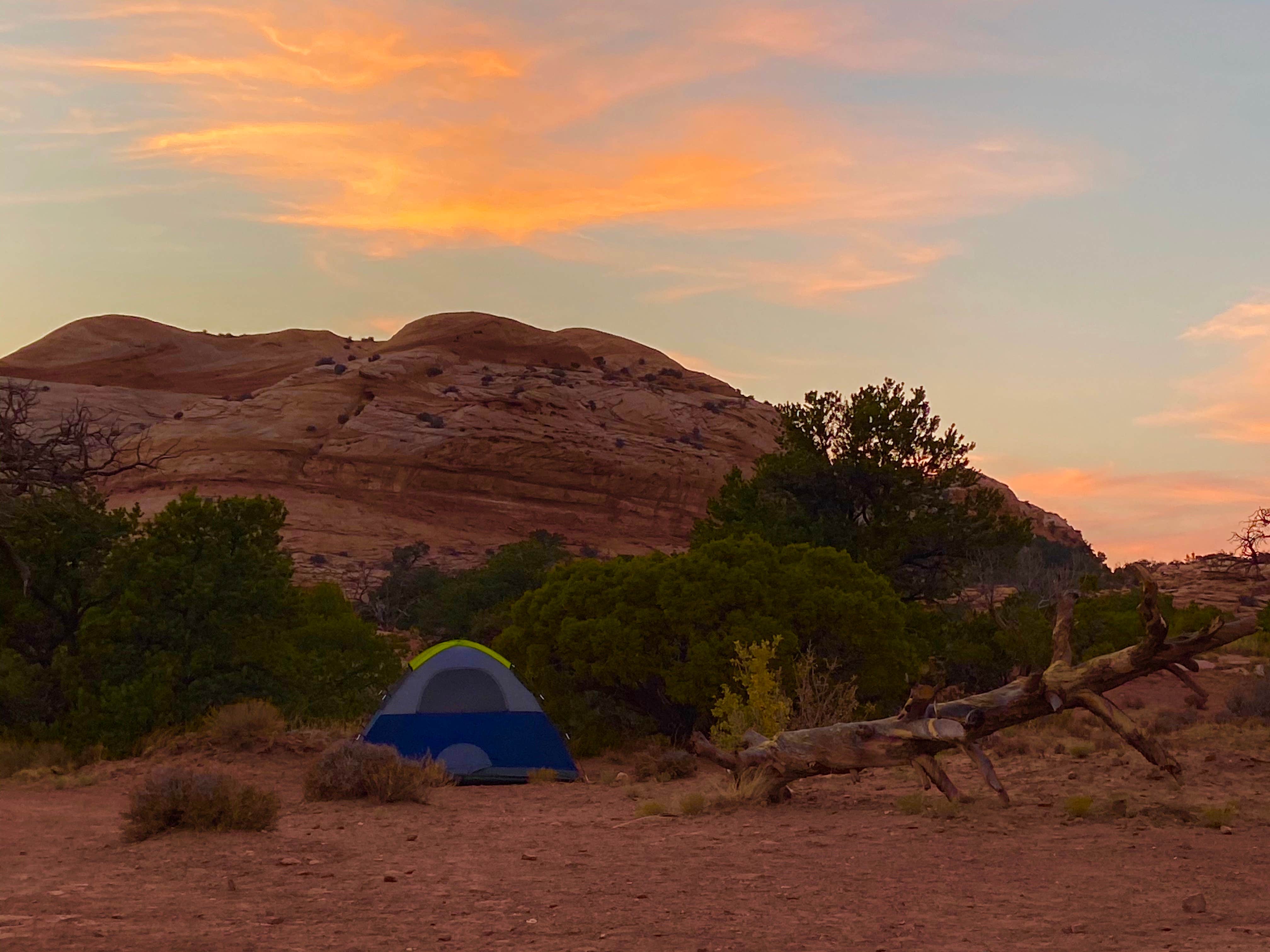 Rachael S.'s photo at Island In The Sky (Willow Flat) Campground — Canyonlands National Park near Canyonlands National Park