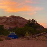 Review photo of Island In The Sky (Willow Flat) Campground — Canyonlands National Park by Rachael S., October 6, 2020