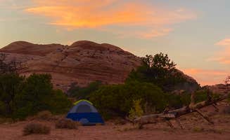 Rachael S.'s photo at Island In The Sky (Willow Flat) Campground — Canyonlands National Park near Canyonlands National Park