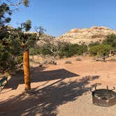 Review photo of Island In The Sky (Willow Flat) Campground — Canyonlands National Park by Rachael S., October 6, 2020