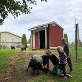 Review photo of Countryside Campground by Joe F., October 6, 2020