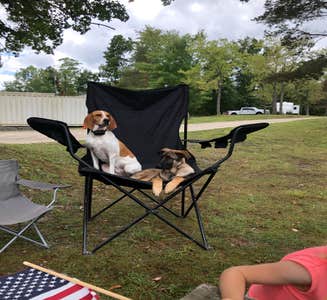 Camper-submitted photo from Kool Lakes Family RV Park