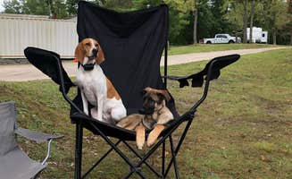 Joe F.'s photo of camping with pets at Kool Lakes Family RV Park near Michael J Kirwan Lake